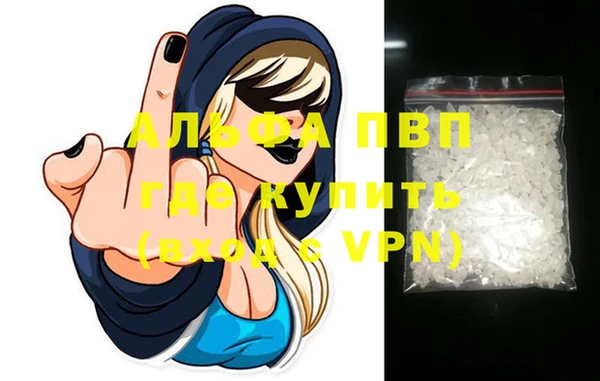 молекула духа Новозыбков