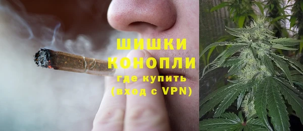 молекула духа Новозыбков