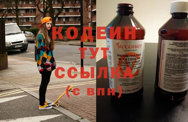 молекула духа Новозыбков
