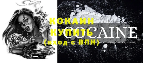 молекула духа Новозыбков