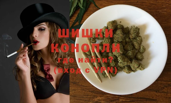 молекула духа Новозыбков