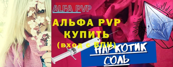 молекула духа Новозыбков