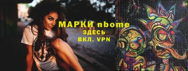молекула духа Новозыбков