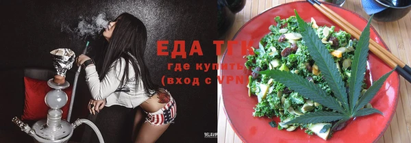 молекула духа Новозыбков