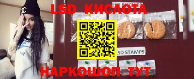 PSILOCYBIN Северобайкальск