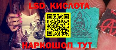 PSILOCYBIN Северобайкальск