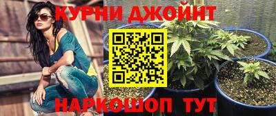 PSILOCYBIN Северобайкальск