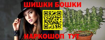 PSILOCYBIN Северобайкальск
