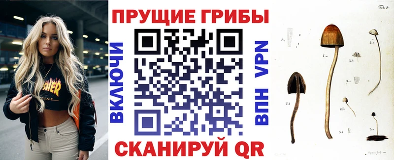 Галлюциногенные грибы Cubensis Сызрань