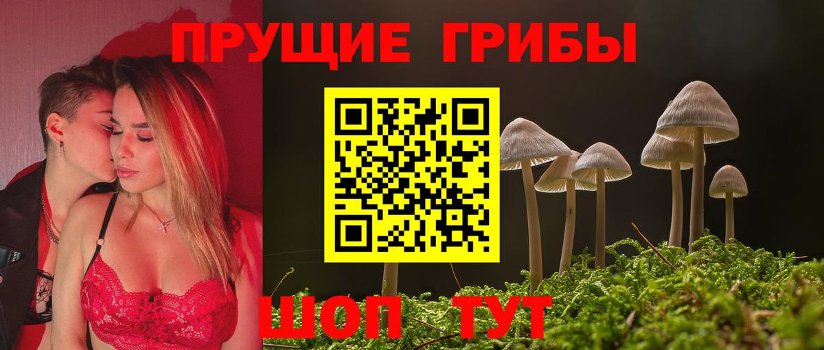 Галлюциногенные грибы Cubensis Сызрань