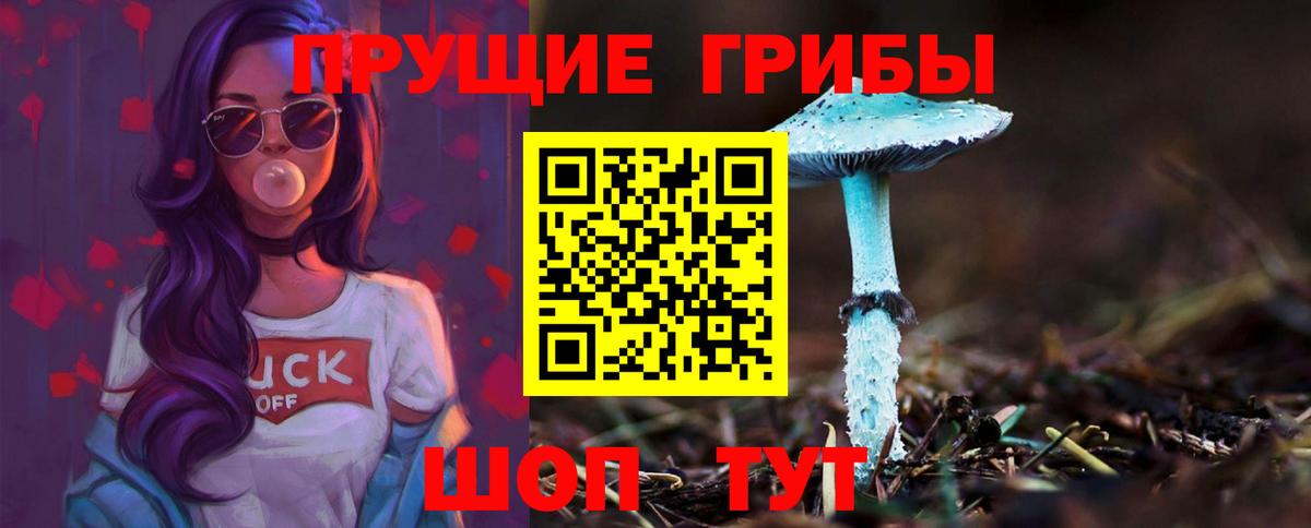 Галлюциногенные грибы MAGIC MUSHROOMS  Вход с VPN  Галлюциногенные грибы GOLDEN TEACHER  Сызрань 